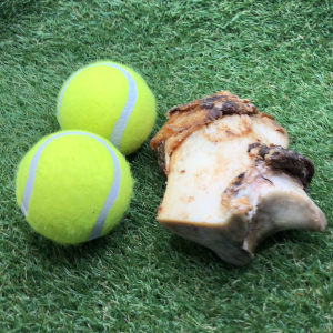 Mini Roast Bone