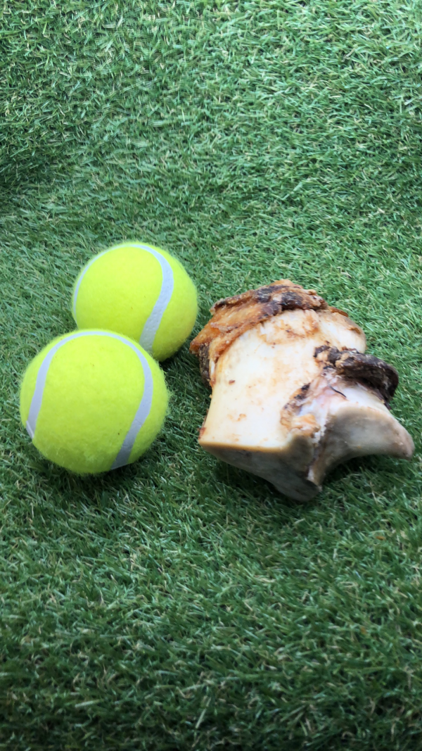 Mini Roast Bone
