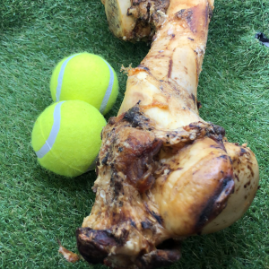 Jurassic Bone XXL