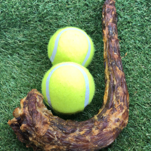 Turkey Neck