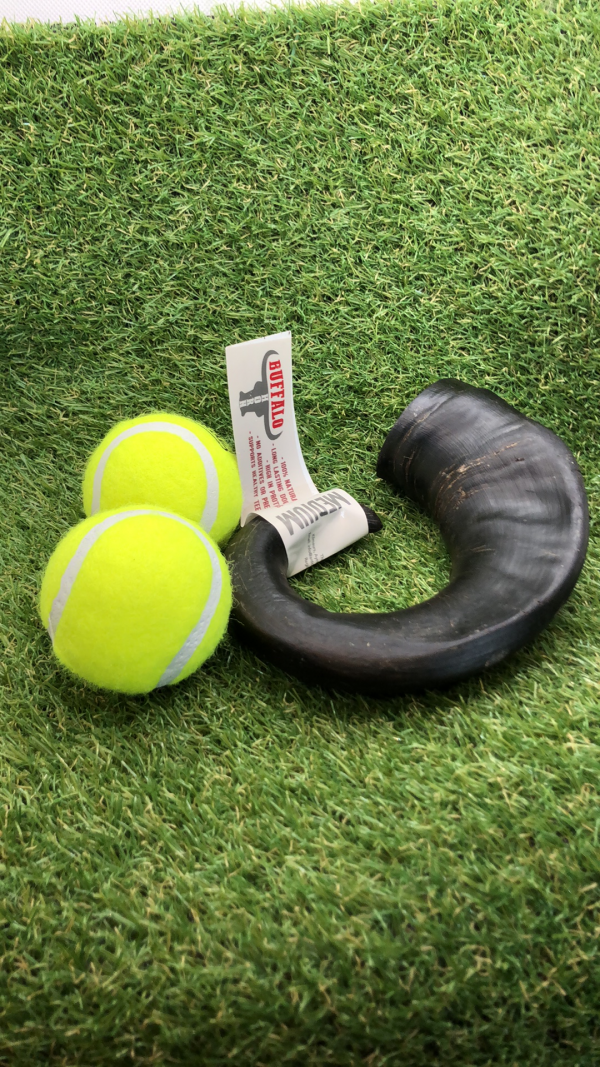 Buffalo Horn