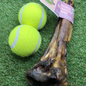 Ostrich Metatarsus Bone