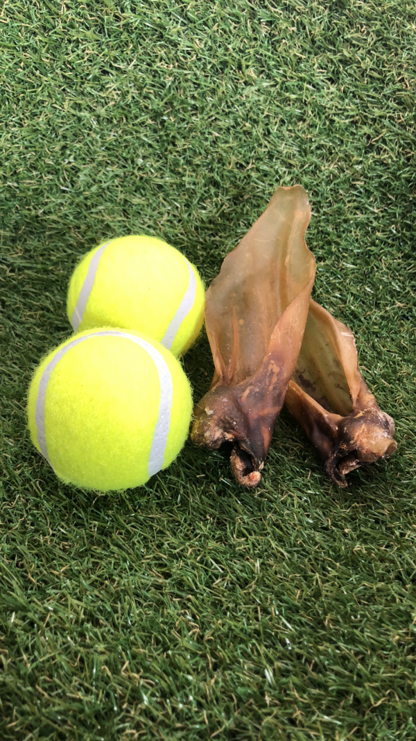 2 Venison Ears