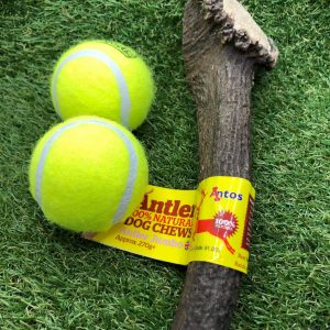 Jumbo Antler