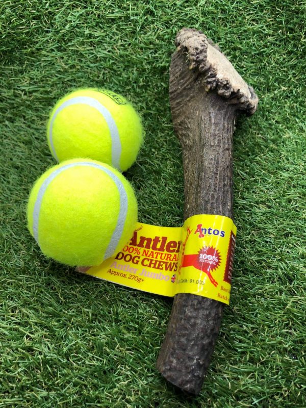 Jumbo Antler