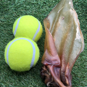 Buffalo Ear