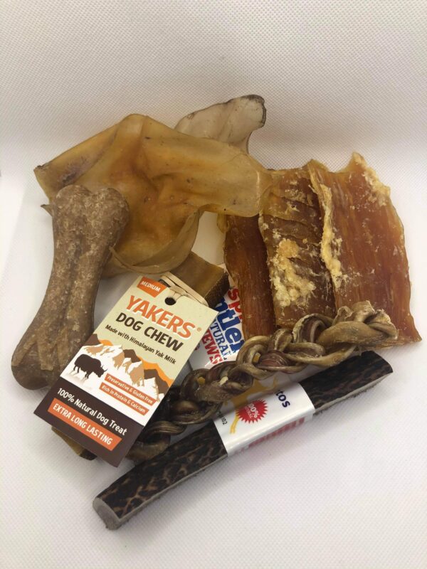 Natural Dog Treat Selection box Medium Dog
