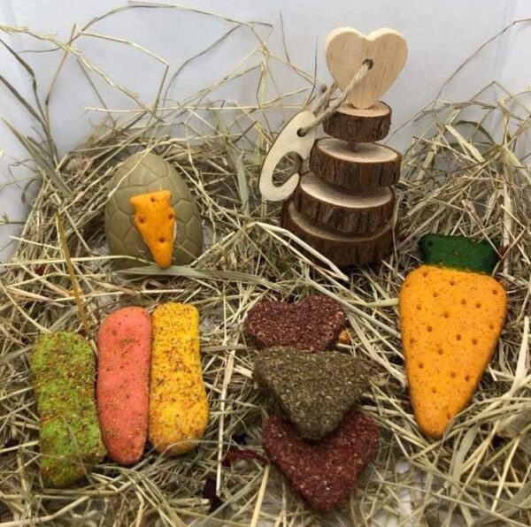 Small Animal Easter Hamper