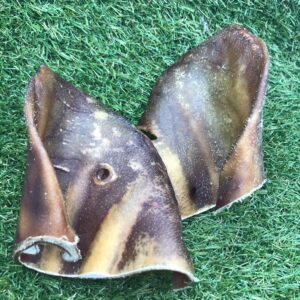Pigs Ears x 2
