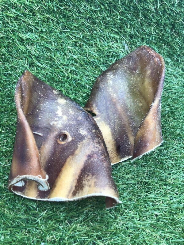 Pigs Ears x 2