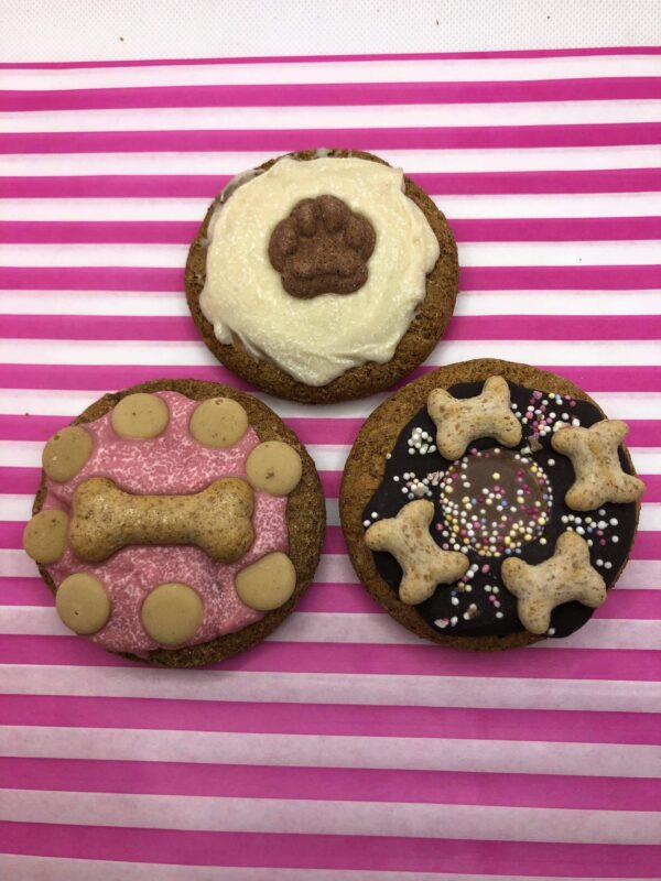 3 Bakery Decorated Biscuit Cookies