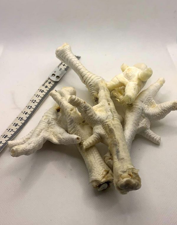 Chicken Feet White x 6