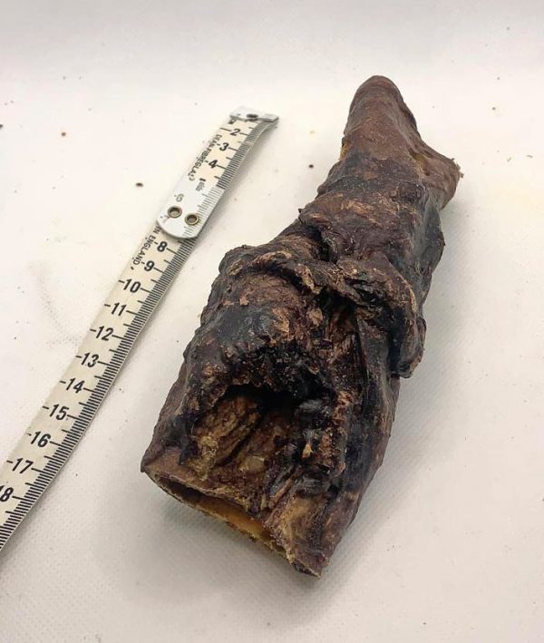 Wrapped Trachea