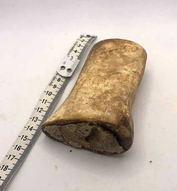 Smoked Pate Bone
