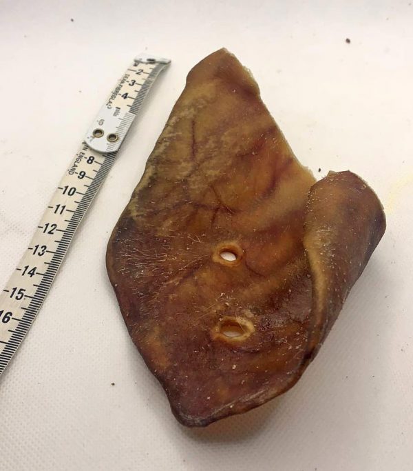 Pigs Ear