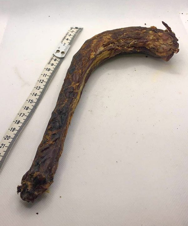 Turkey Neck