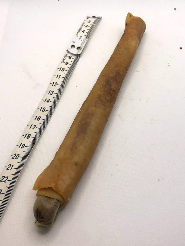 Hot Dog - Sausage wrapped in Pig Skin