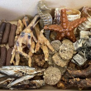 Seaside Box