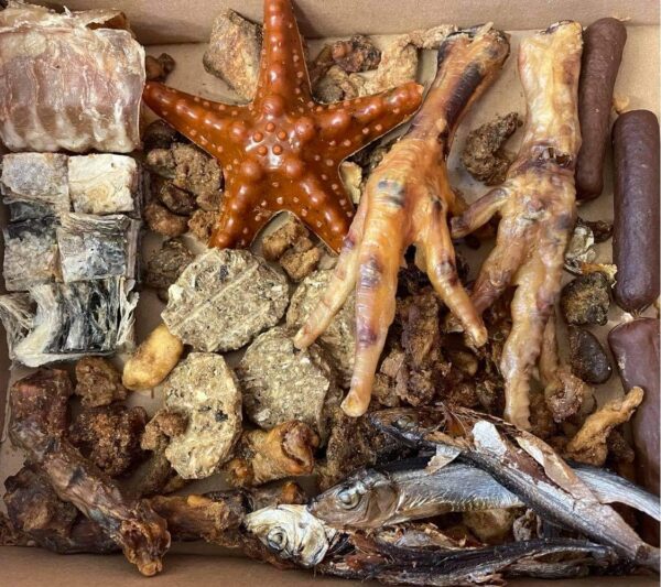Seaside Box