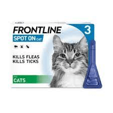 Frontline Cat