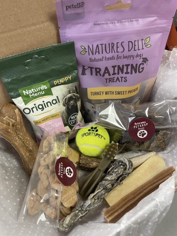 Puppy Survival Pack - Image 2