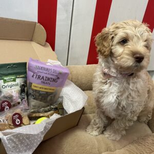 Puppy Survival Pack