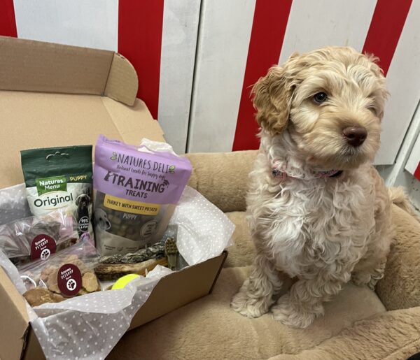 Puppy Survival Pack