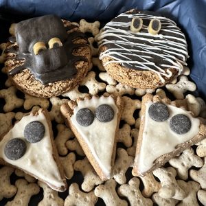 Halloween Dog Treat Box